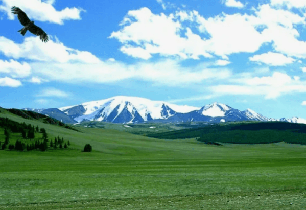🏞️Монгун-Тайгинский район